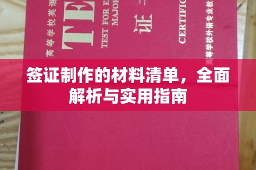 崇左签证制作的材料清单，全面解析与实用指南